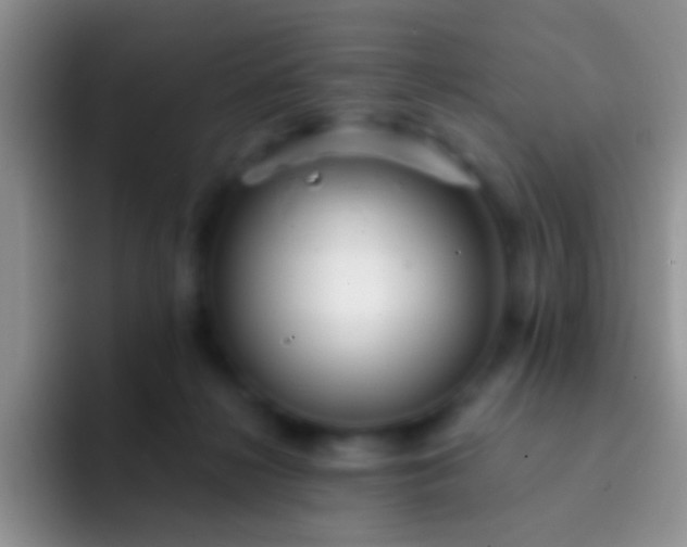 X0000092080268200709262110