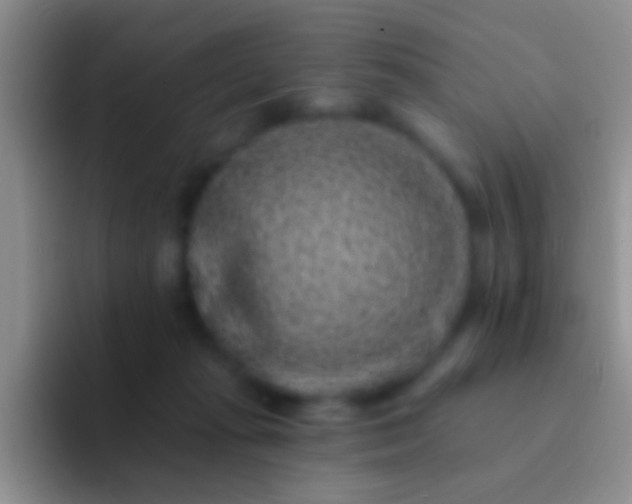 X0000092080269200709262110