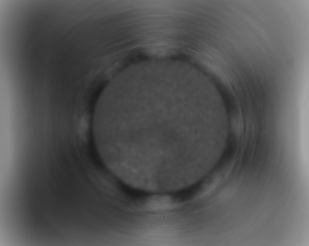 X0000092080271200709262110