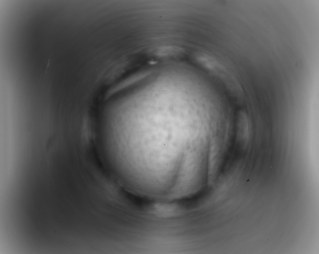 X0000092080272200709262110