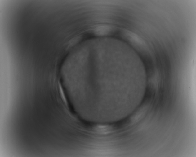 X0000092080277200709262110