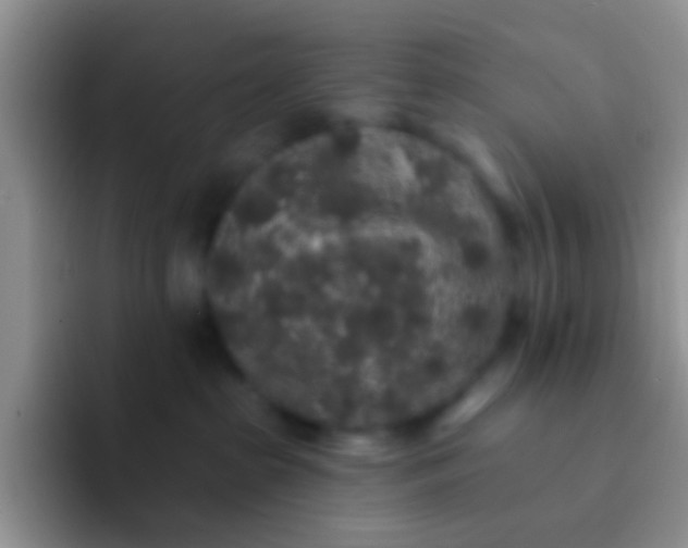 X0000092080285200709262110