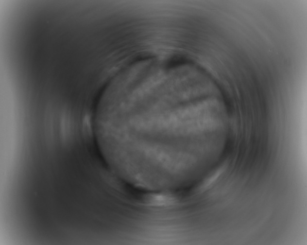 X0000092080286200709262110