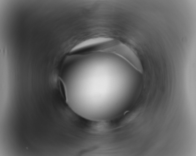 X0000092080288200709262110