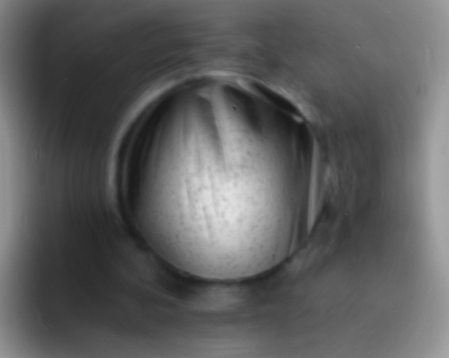 X0000092080292200709262109