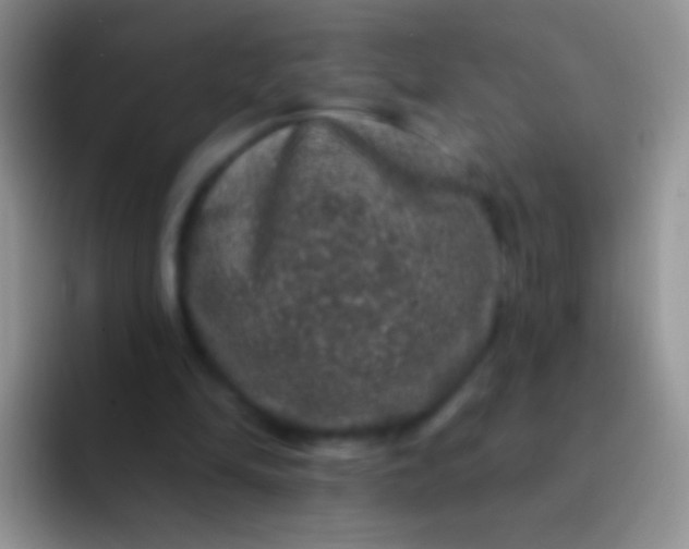 X0000092080294200709262109