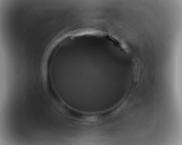 X0000092080295200709262109