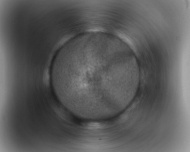 X0000092080298200709262109