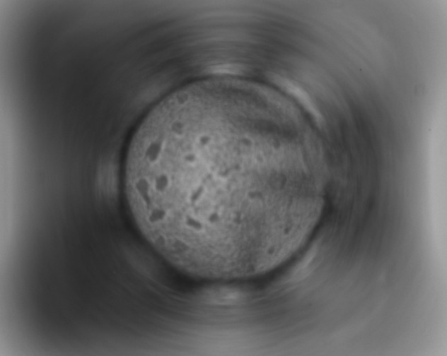 X0000092080299200709262109