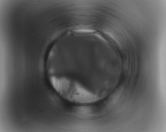 X0000092080303200709262109