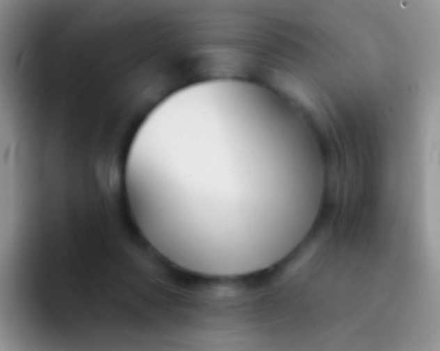 X0000092080310200709262109