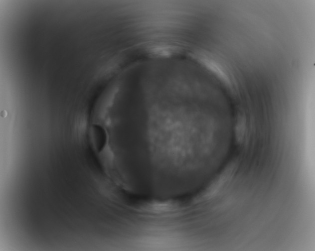 X0000092080314200709262109