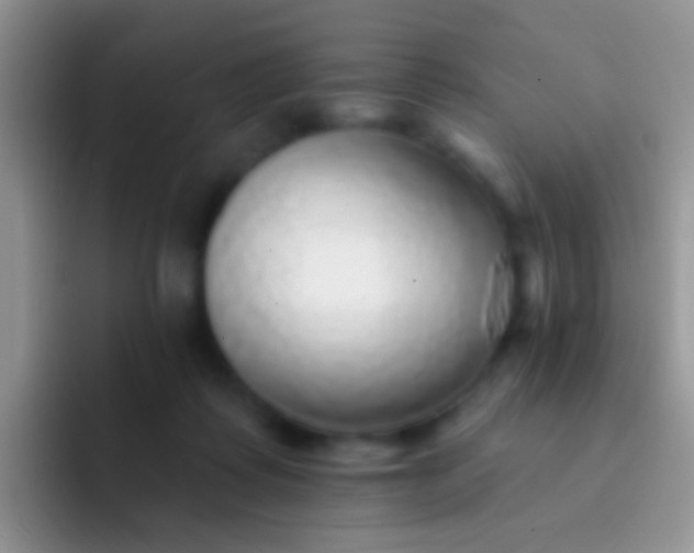 X0000092080315200709262109