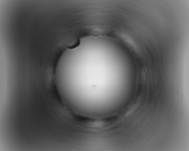 X0000092080318200709262109