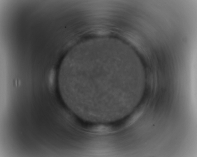 X0000092080319200709262109