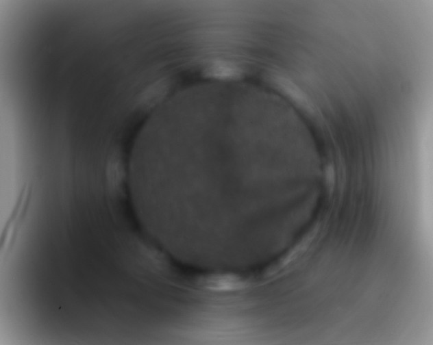 X0000092080322200709262109