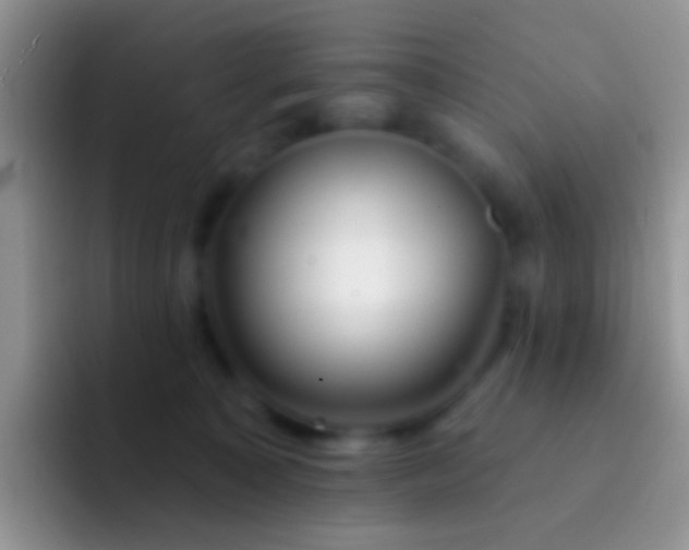 X0000092080323200709262109