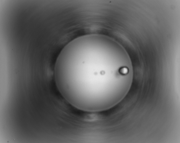 X0000092080324200709262109