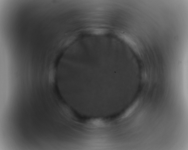 X0000092080325200709262109