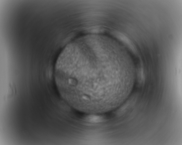 X0000092080326200709262109