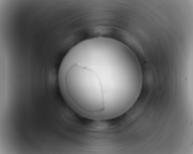 X0000092080328200709262109