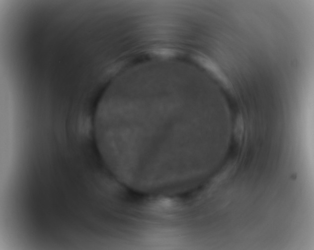 X0000092080330200709262109