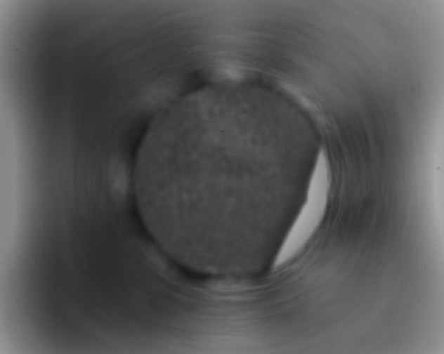 X0000092080331200709262109