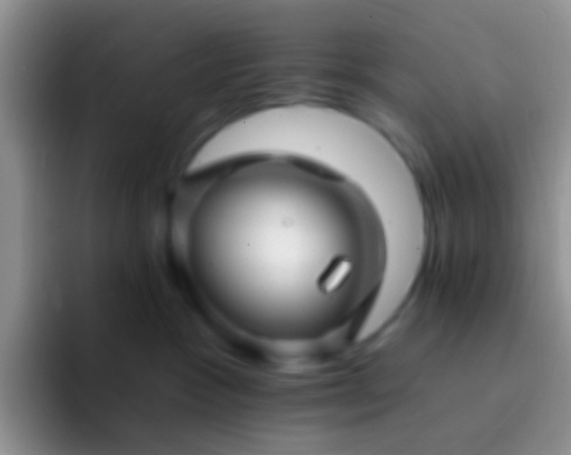 X0000092080333200709262109