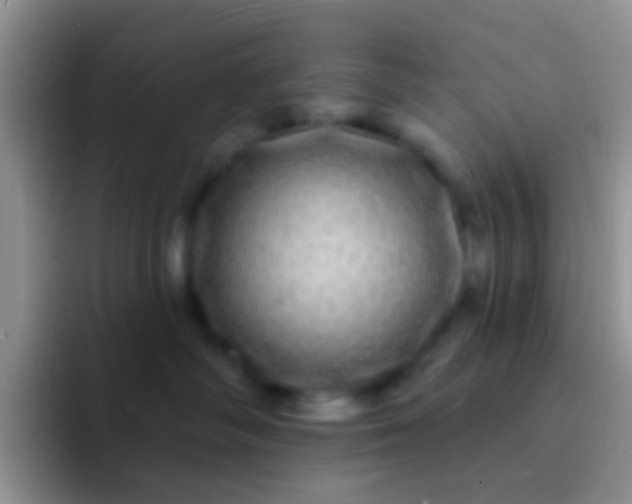 X0000092080334200709262109