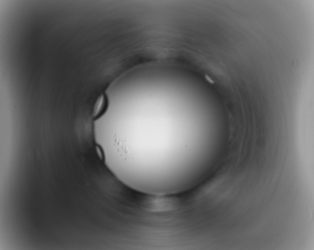 X0000092080336200709262109