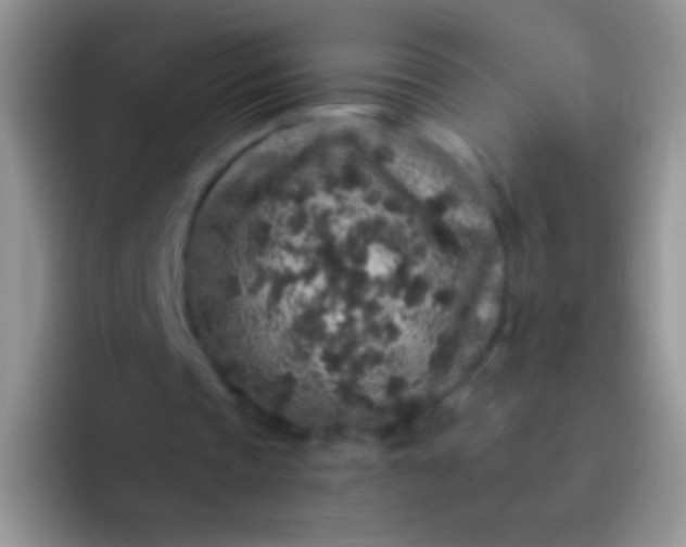 X0000092080337200709262108