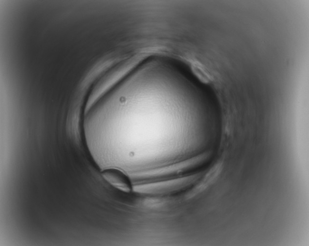 X0000092080341200709262108