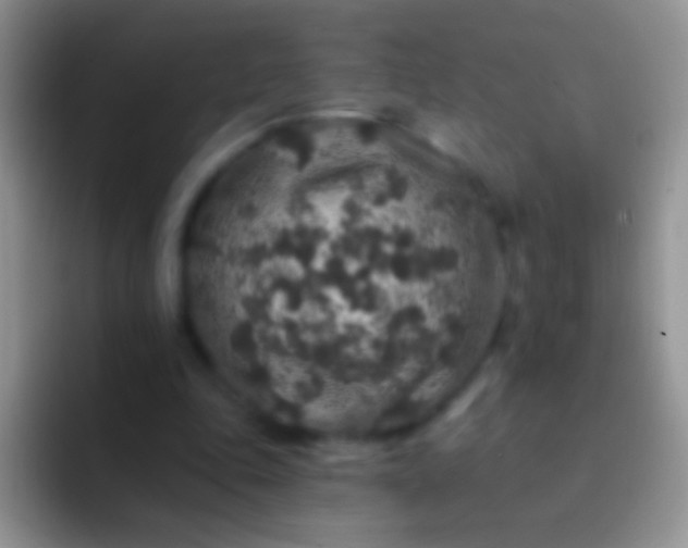 X0000092080343200709262108