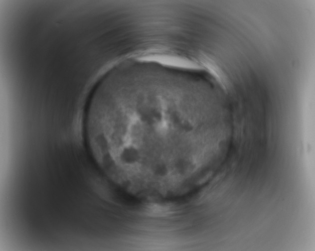 X0000092080346200709262108