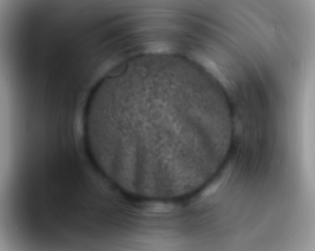 X0000092080347200709262108