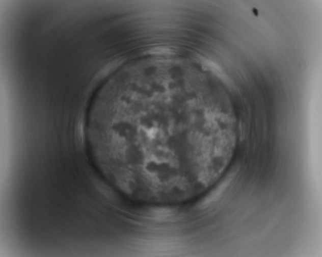 X0000092080349200709262108