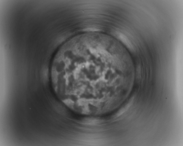 X0000092080351200709262108