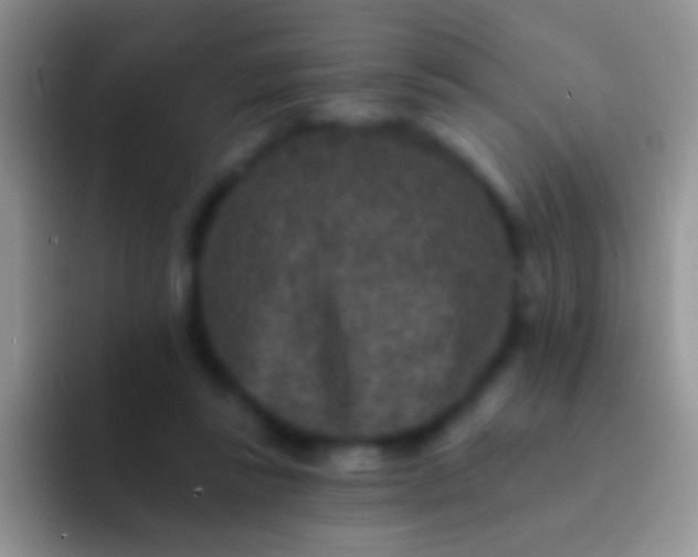 X0000092080355200709262108