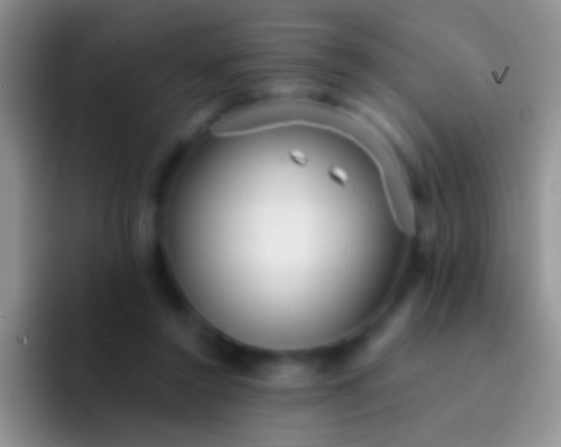 X0000092080356200709262108