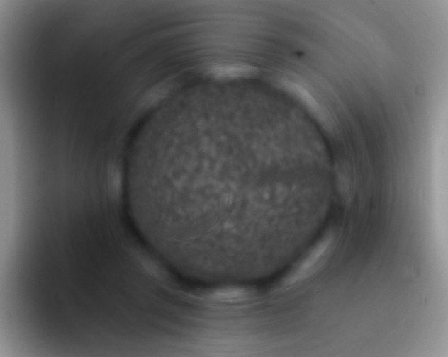 X0000092080357200709262108