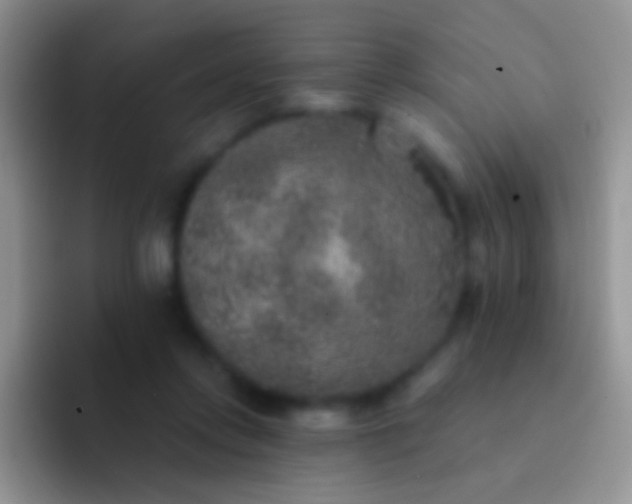 X0000092080358200709262108