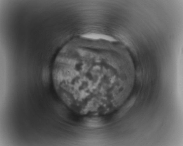 X0000092080359200709262109