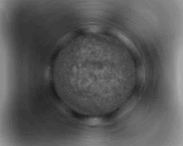 X0000092080361200709262109