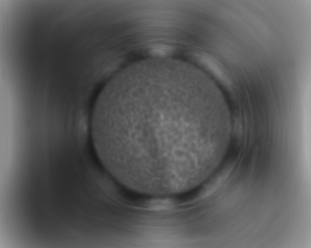 X0000092080363200709262109