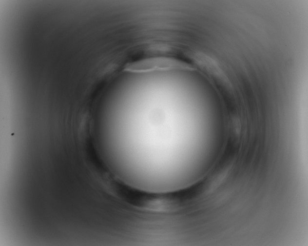 X0000092080364200709262109