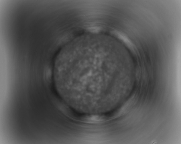 X0000092080365200709262109