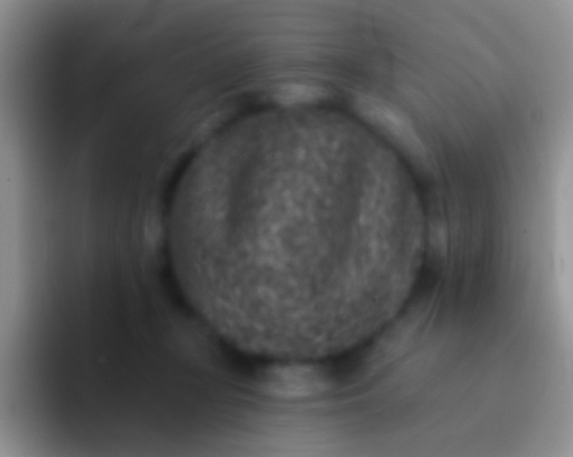 X0000092080367200709262109