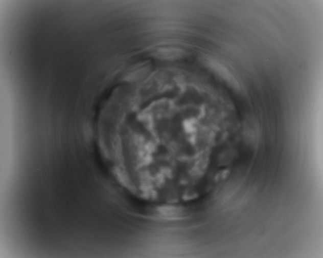 X0000092080371200709262109