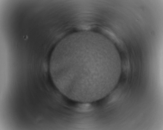 X0000092080374200709262109