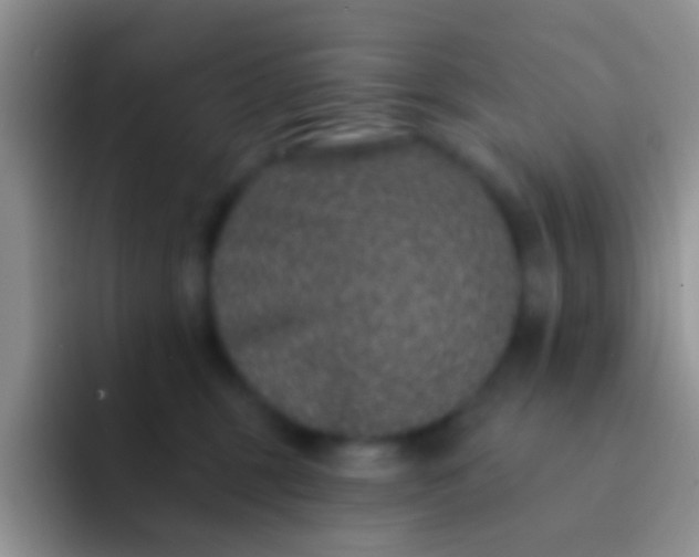 X0000092080375200709262109